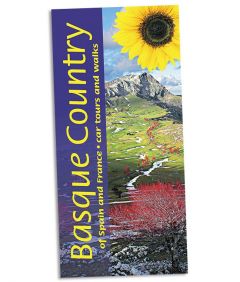 Sunflower - Landscape Series - Basque Country