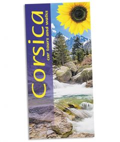 Sunflower - Landscape Series - Corsica